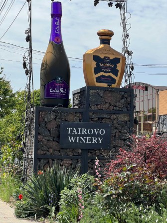 Дом в ПГТ Таирово, на 6 сотках - фото 1