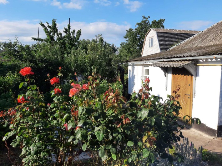 Пропонується до продажу будинок у мальовничому куточку Хорола - фото 1