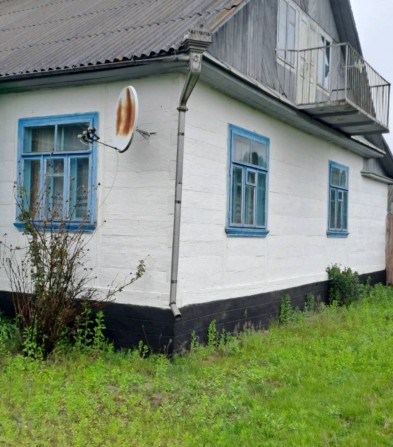Будинок великий гарний с. Соснове - фото 1