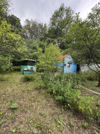 Продам дачу ,участок,хорошево ,янтарь - фото 1