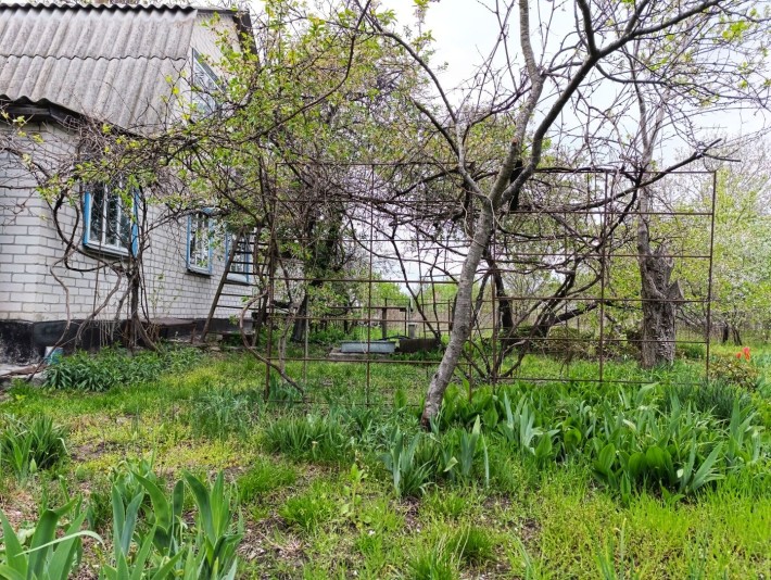 Продам будинок/ дачу в кооперативі Фотон, с. Лозівок - фото 1