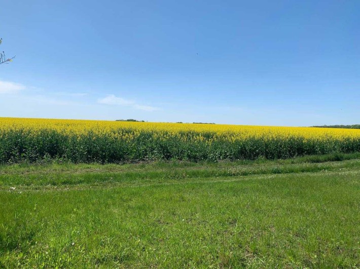 Бюджетна дачна пропозиція. Ділянка приватизована.Від Б-Ц  Церкви-10 хв - фото 1