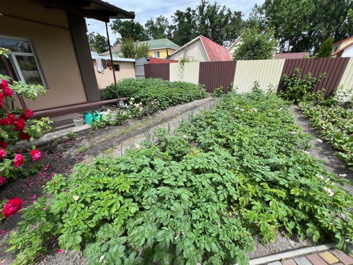 Продаж якісного будинку 265м2 на 7 сотках в топовій локації біля ПАрку - фото 1