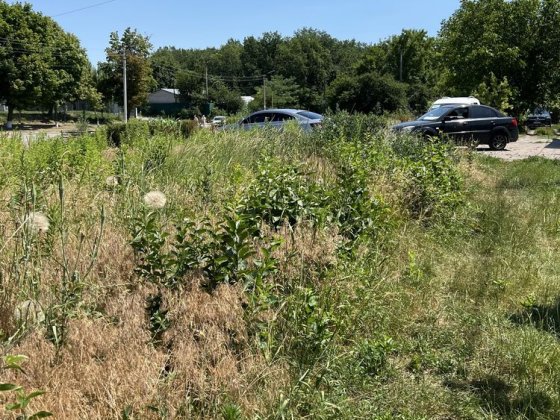 Дача вулиця Сухоярська Белая Церковь