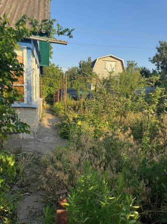 Продам дачу кооп. Світанок - фото 1