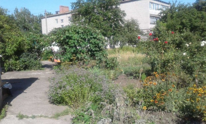 Продам небольшой Дом /Земельный участок на Ласточке - фото 1