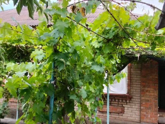 Продам дім у Довгинцевському районі Кривий Ріг