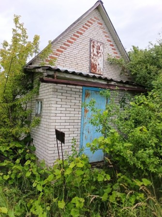 Продається дача Місто Суми,село Любачеве - фото 1
