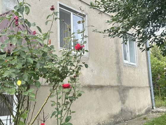 Продам або обміняю будинок на квартиру Черновцы