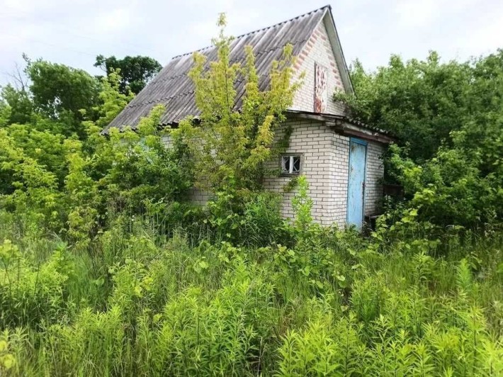 Здається дача в оренду - фото 1