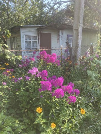 Продаю дачу біля лісу - фото 1