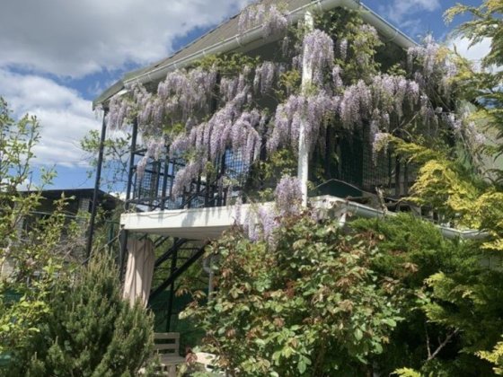 Дача біля Вирви у садовому товаристві Дніпро