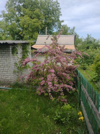 Продам дачу в межі міста - фото 1