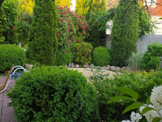 Аренда дома в райском уголке.