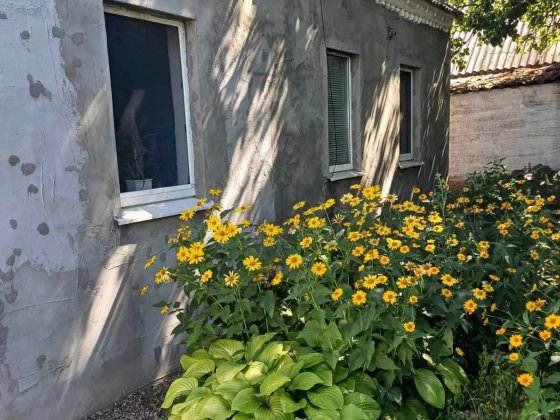 Продам дом в Диёвке по ул. Каменогорская Дніпро