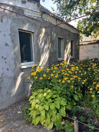 Продам дом в Диёвке по ул. Каменогорская - фото 1