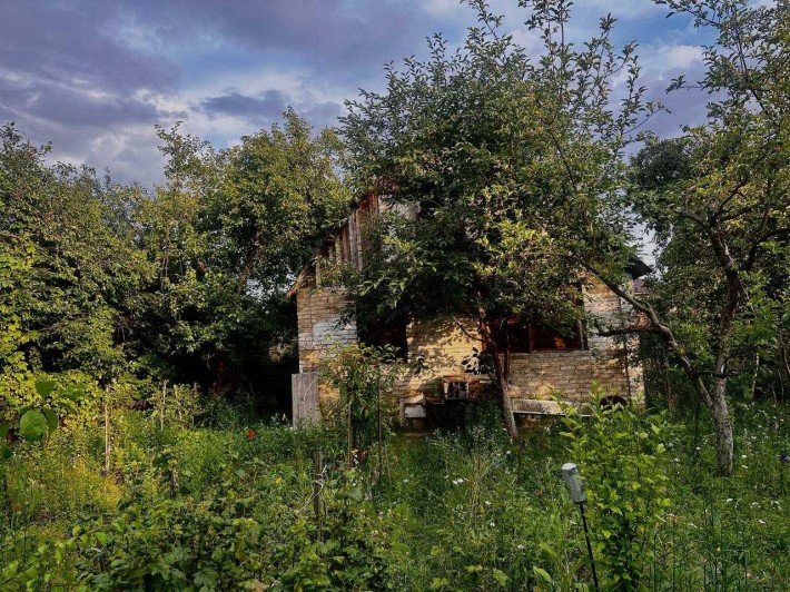 Берківці (Нивки) продаж старого будинку з ділянкою (район Лавіни) - фото 1