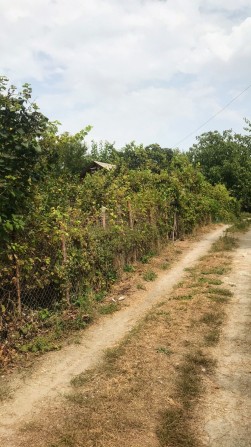 Продам здам в оренду  дачу в городе - фото 1