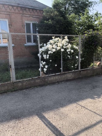 Продам цегляний будинок Нова Балашівка - фото 1