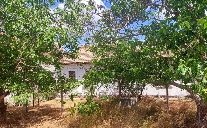 Продажа дома в Варваровке! - фото 1