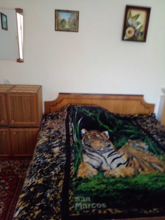 Сдам комнату в доме  в Центре , Гагарина , Дафи, - фото 1