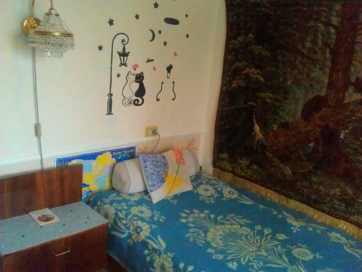 Оренда кімнати по вул. Пасічна - фото 1