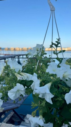 Просторный дом с видом на море - фото 1
