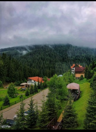 Пара орендує кімнату квартиру чи півбудинку - фото 1