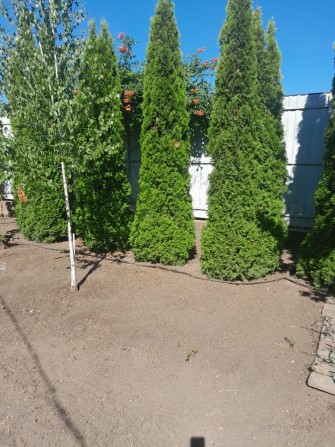 Продам срочно дом у моря - фото 1