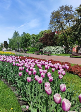 Оренда квартири в Центрі - фото 1