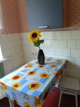 Здам в центрі, паркова зона квартиру з меблями, технікою, колонка нова - фото 1