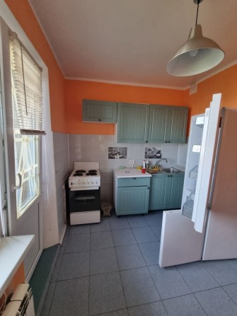 Аренда 1 комн квартира,  Шалимова 23а, панорама  парк - фото 1