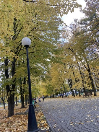Аренда. Сдам 1 к кв Новые Дома - фото 1