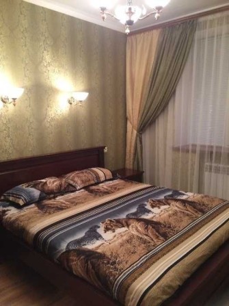 Аренда 2к квартиры Центр (ДК Судостроителей) - фото 1