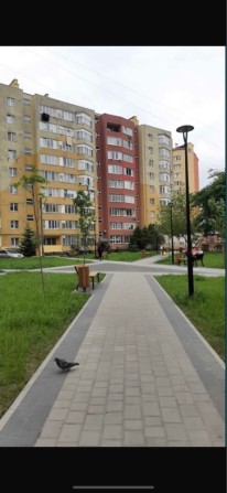 Оренда однокімнатної квартири - фото 1