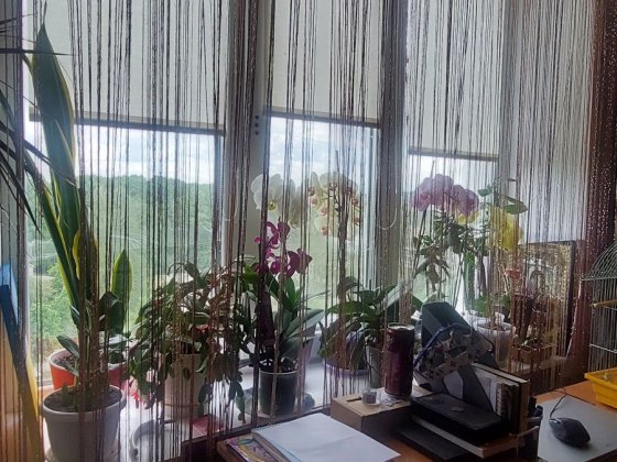 Квартира 2-тна по Грушевського. Коростень