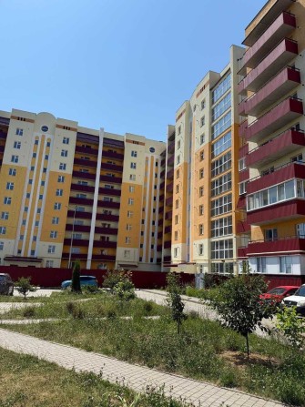 1к, Виставка, новобудова з ремонтом, низ ринку, мінімальне оформлення - фото 1