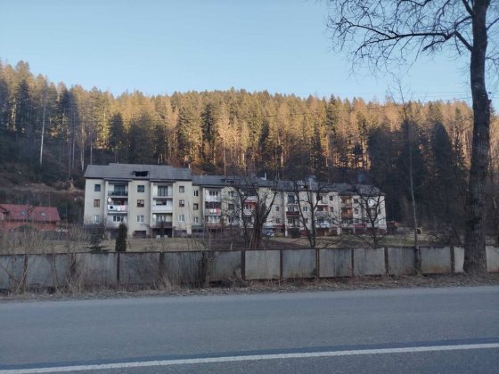 Продається квартира в Міжгірʼї (Закарпаття), можливий торг Міжгір'я