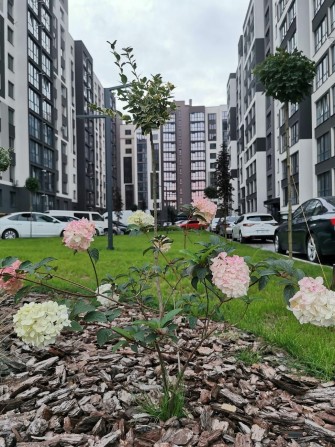 3-к+ кладова, ЖК Паркова Алея, Сєченова вул., 129А, Угорники - фото 1