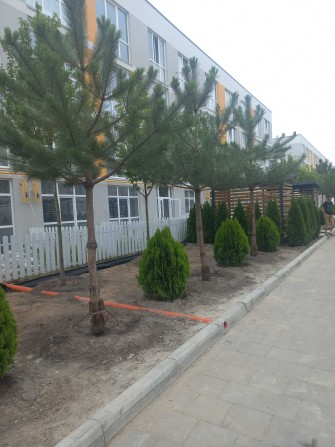Продам квартиру біля  Києва - фото 1