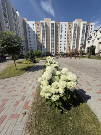 Продаж 1к квартири Чабани - фото 1