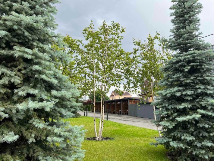 Продаж смарт-квартири 31,58м2 з двором 16м2. Заходьте на ремонт! - фото 1