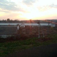 Продаётся фермерский комплекс в 50 км от Киева Обухів