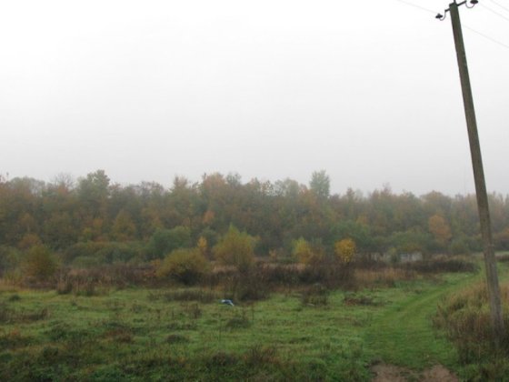 Продаю незавершене будівництво пром будівлі, ділянка 1,5 га, Свалява