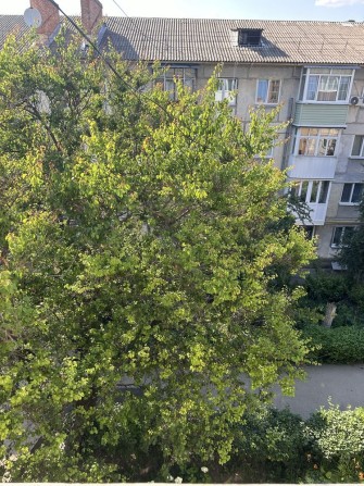 Продам 3-кімнатну квартиру - фото 1
