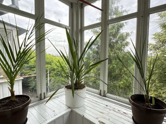 Продаж 3 кімнатної квартири на пр. Волі Луцк