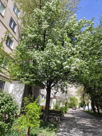 1кв вул.15 Квітня - фото 1