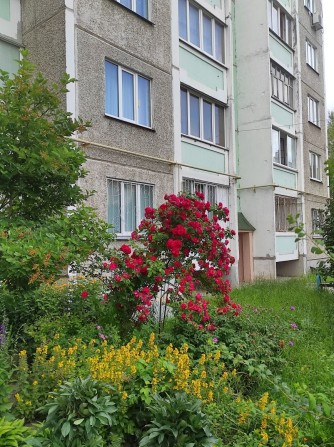 Продаж 1 - кімнатної квартири з ремонтом - фото 1