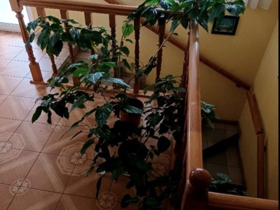 Підселення в кімнату для хлопців. Оренда кімнати.вул. опришівецька Івано-Франківськ