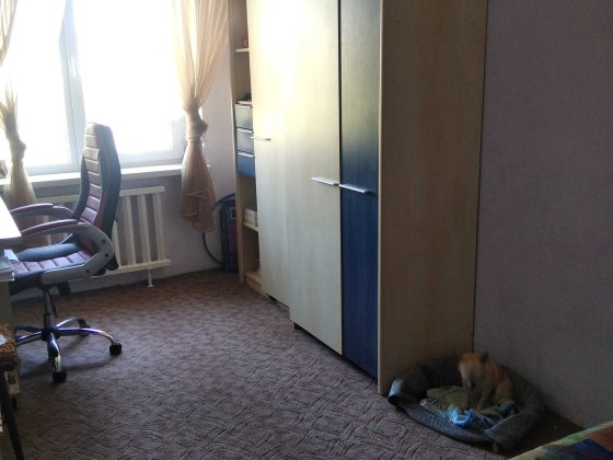 Кімната з хозяйкою Дніпро